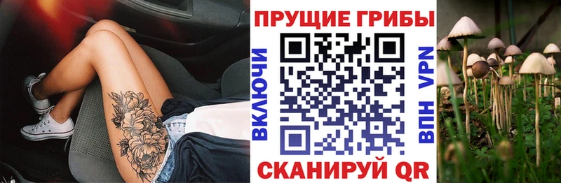 Купить где  Сафоново  Псилоцибиновые грибы прущие грибы 